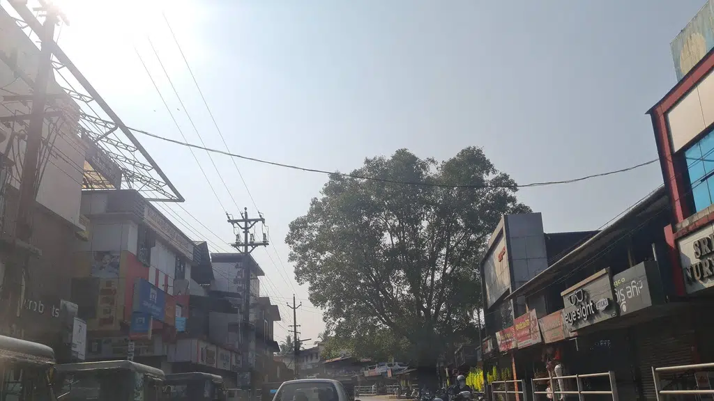 Jeevanam Ayurvedic Clinic and Panchakarma Centre