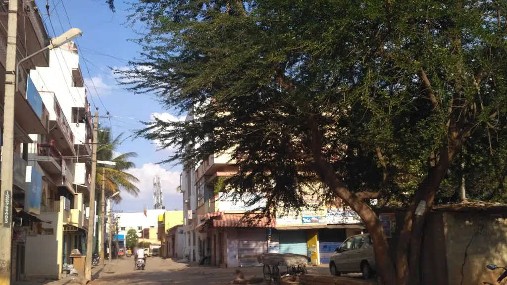 Government Ration Shop