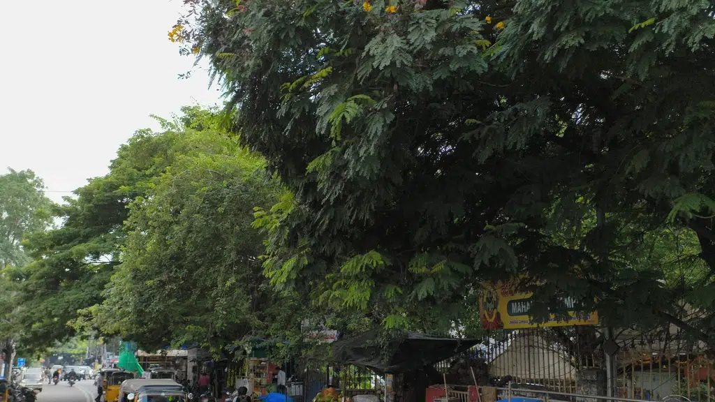 Andhra Pradesh State Council of Higher Education