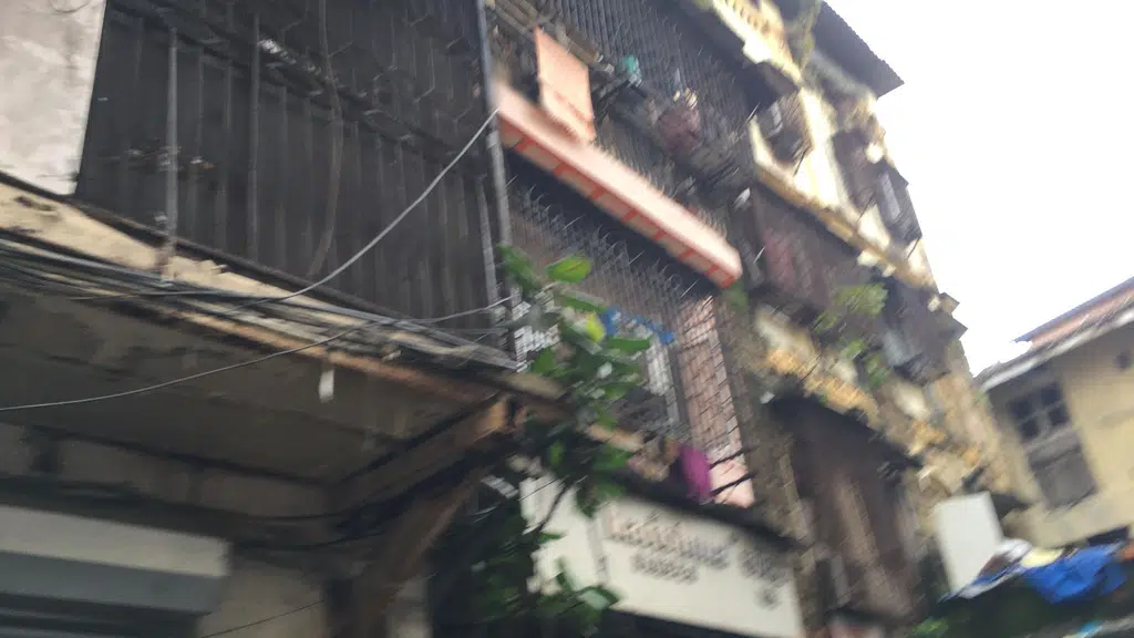 D Sapana Papadwala