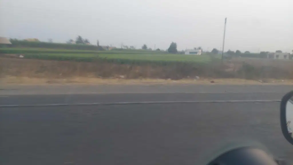 Shree Navkar Agro