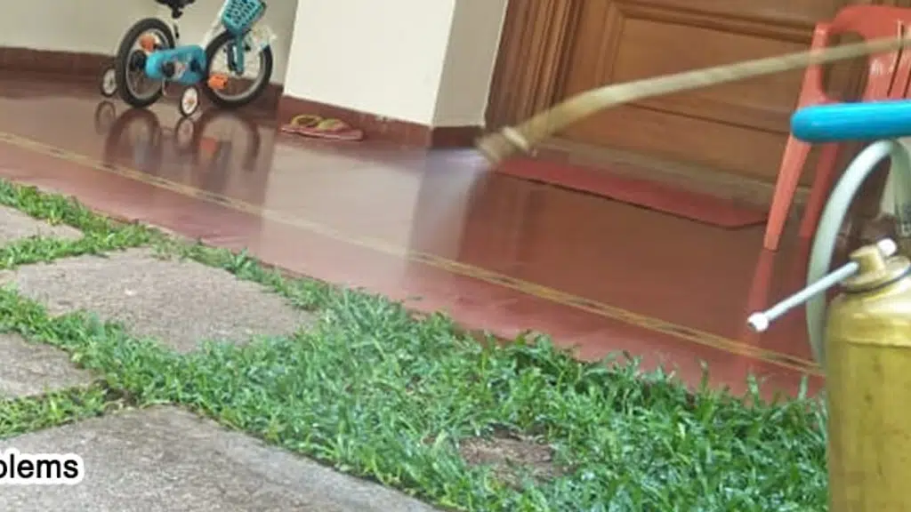 SUGUNA PEST CONTROL - Pest Control  - Termite Control