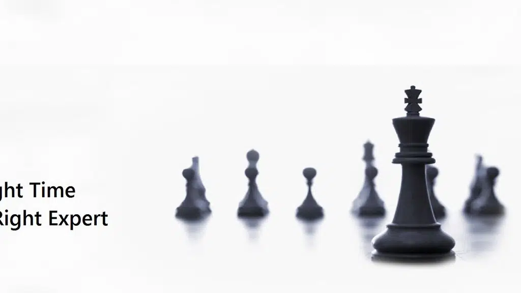 NOVO IP Consultants