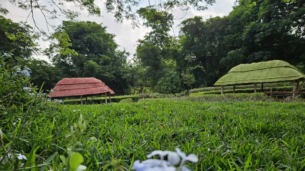 Natural Thatch Roof