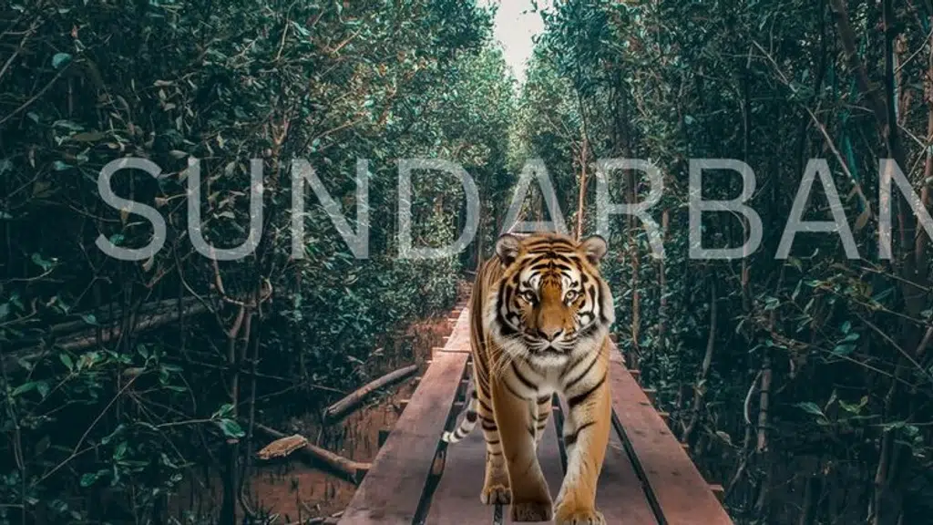 Sunderban Tiger View Point Resort