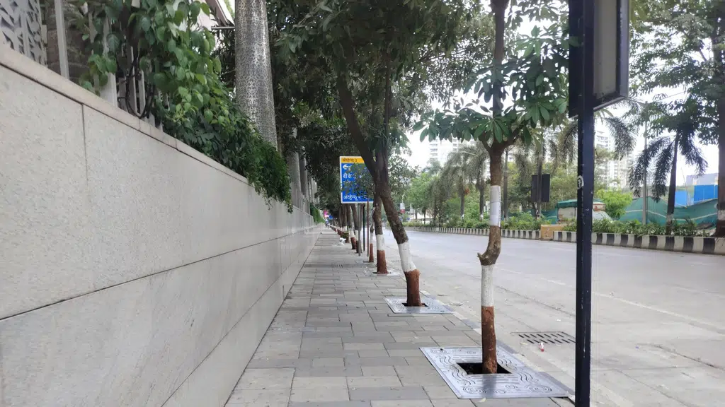 City Park