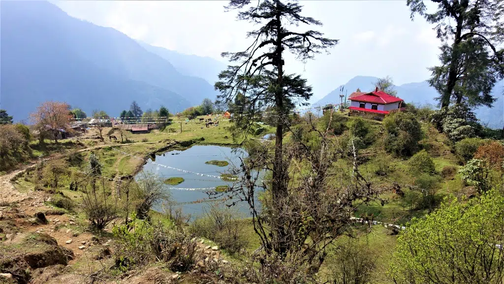 Namgyal Treks and Tours