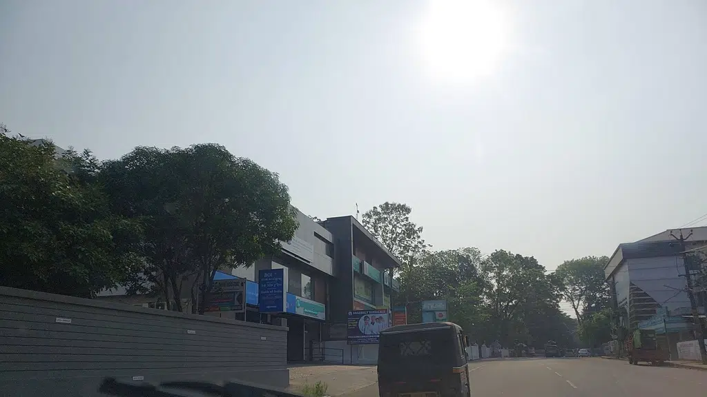 Government Veterinary Hospital