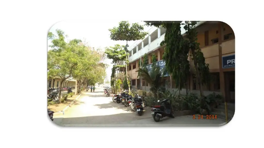 S.E.S Polytechnic