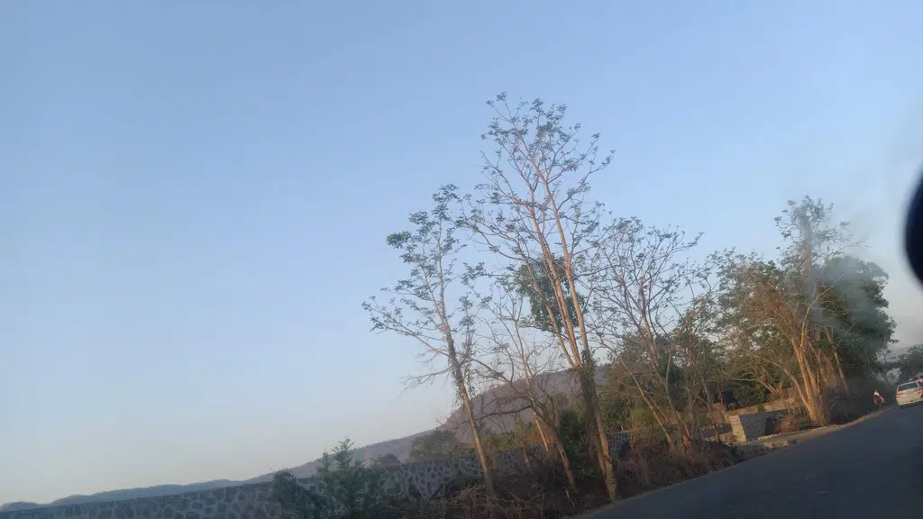 Bhumkar Farms