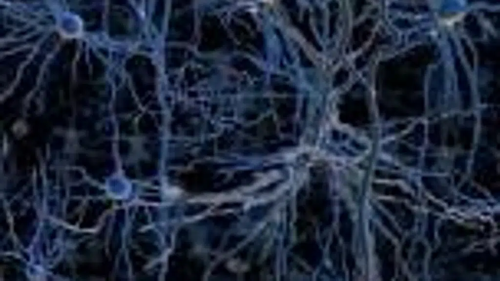 Synapse Counseling and Rehabilitation