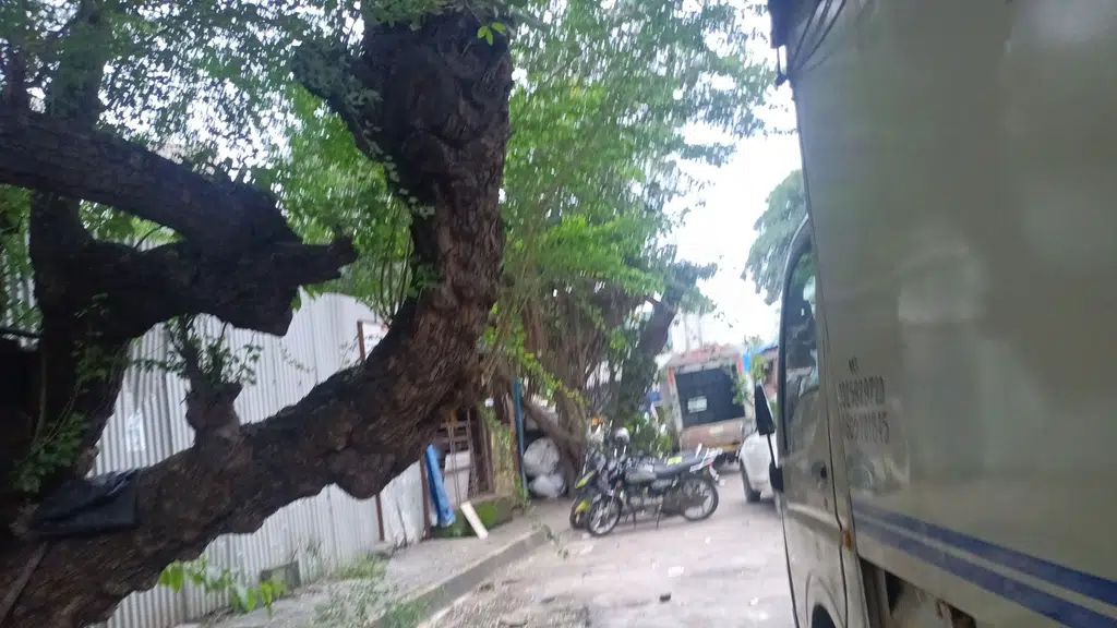 Kaushik Darji & Co