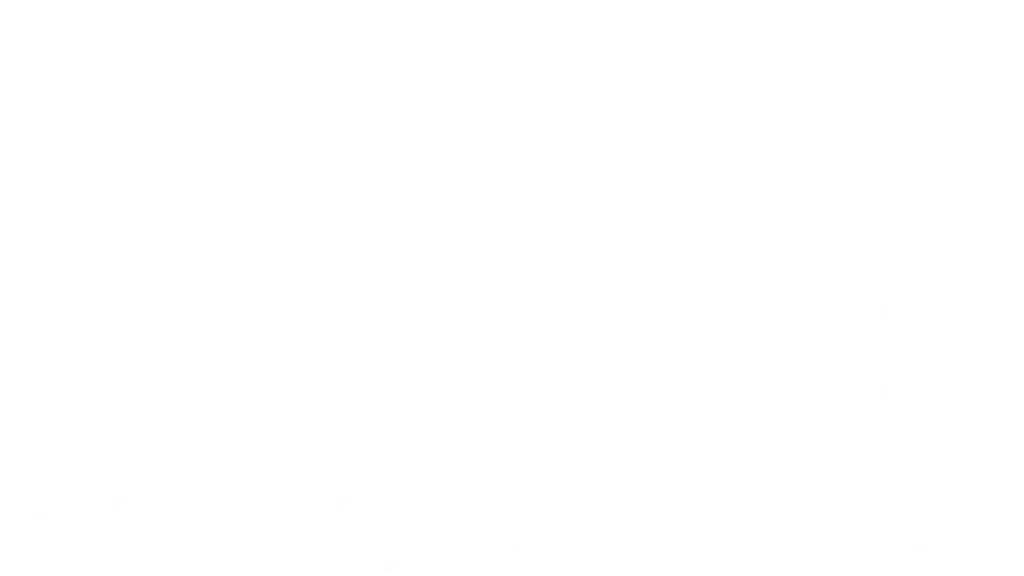 Radiant Synage Pvt. Ltd.