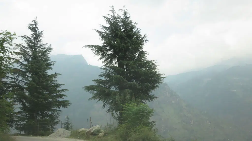 Himachal Tour