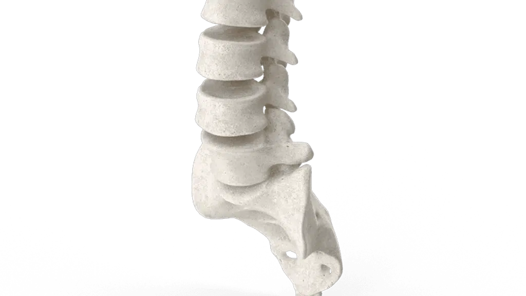 Physiofit Guru sports physiotherapy clinic