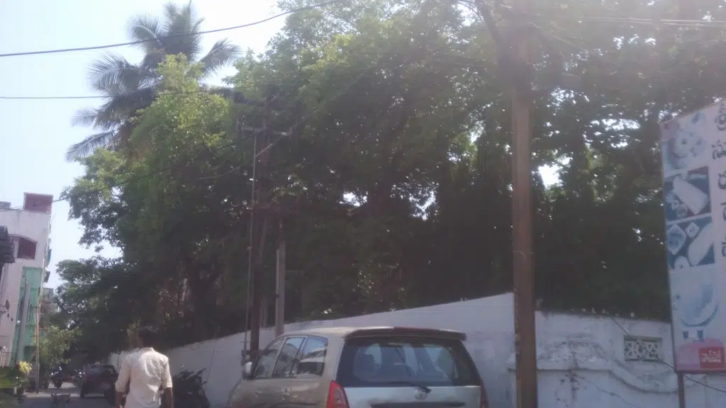 Surya Palace