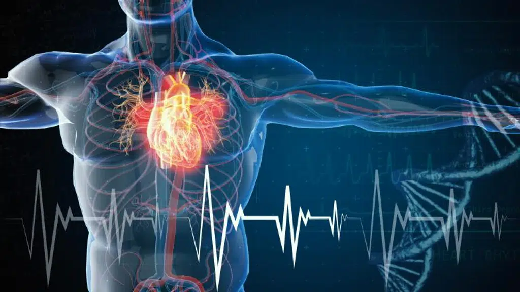 Aiswarya Healthcare - Delivers innovation