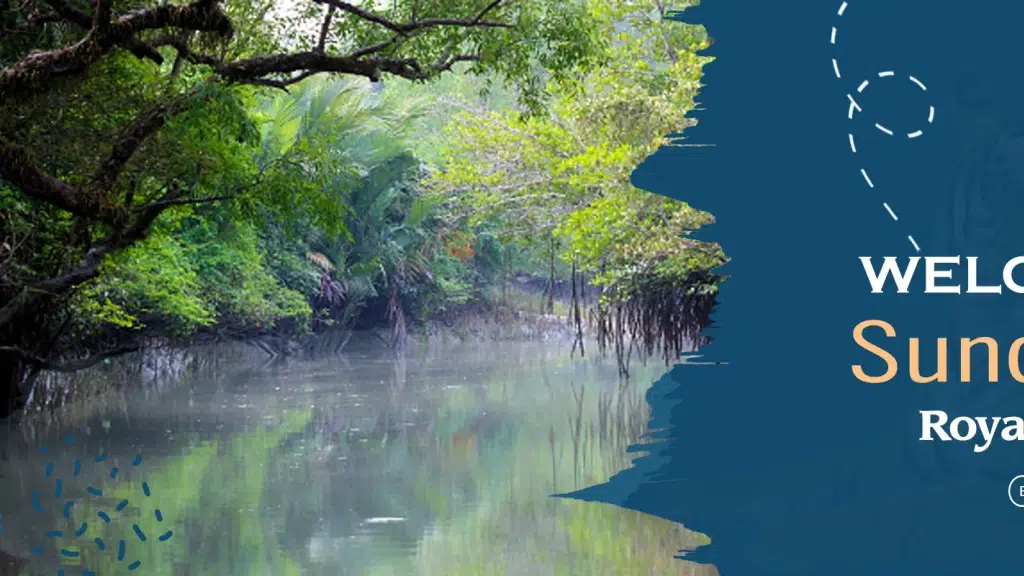 Sundarban Royal Tourism