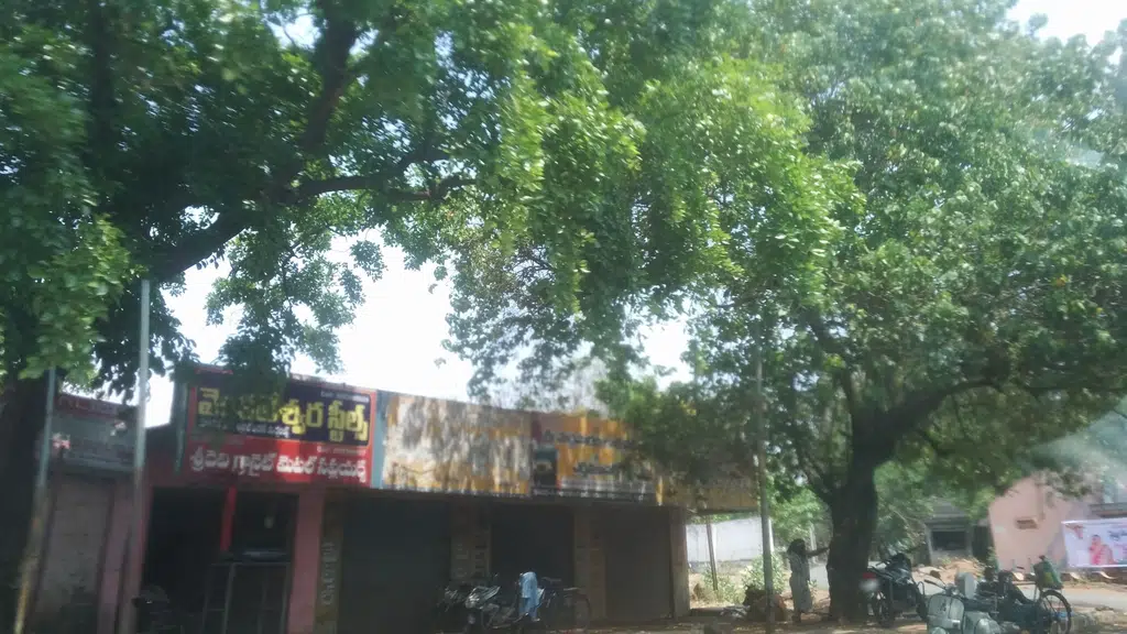 Sri Rajeswari D T H