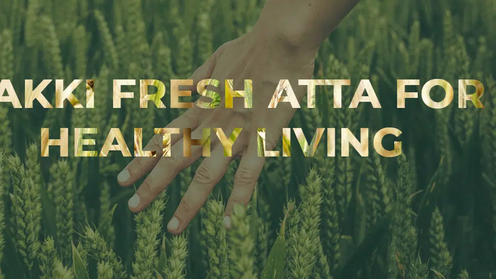 Kalra Food Industry