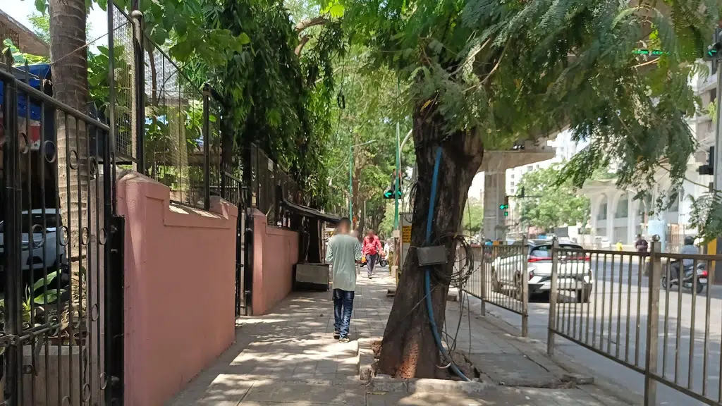 Swaraj Gift Store