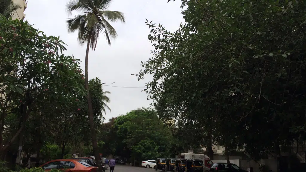 Neelam Apartments
