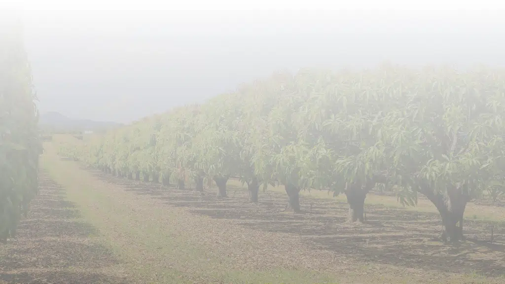 Talakanti Organic Farms