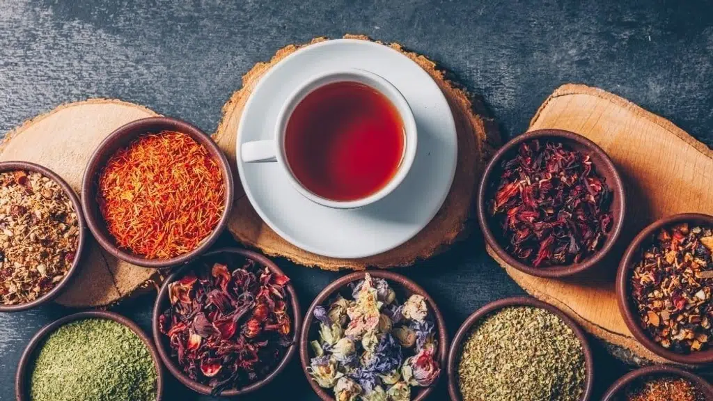 NatureNova Herbals