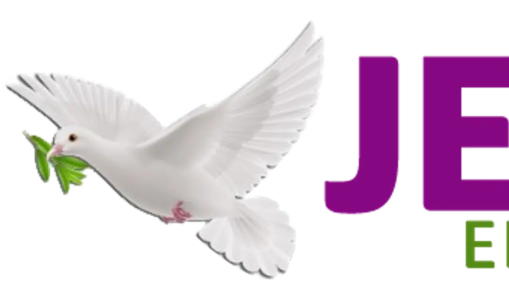 Jeevan Safety Nets | Balcony Safety Nets, Anti BIRD Nets, Pigeon Safety Nets in RR Nagar