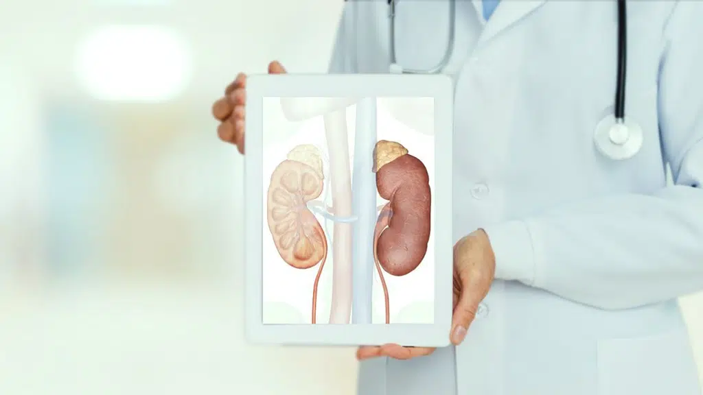 The Kidney Clinic