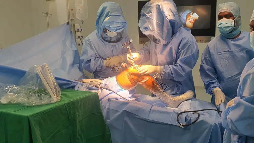 Panacea Knee and Hip Clinic