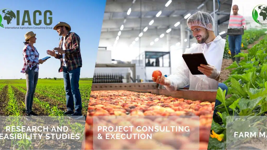 International Agriculture Consulting Group