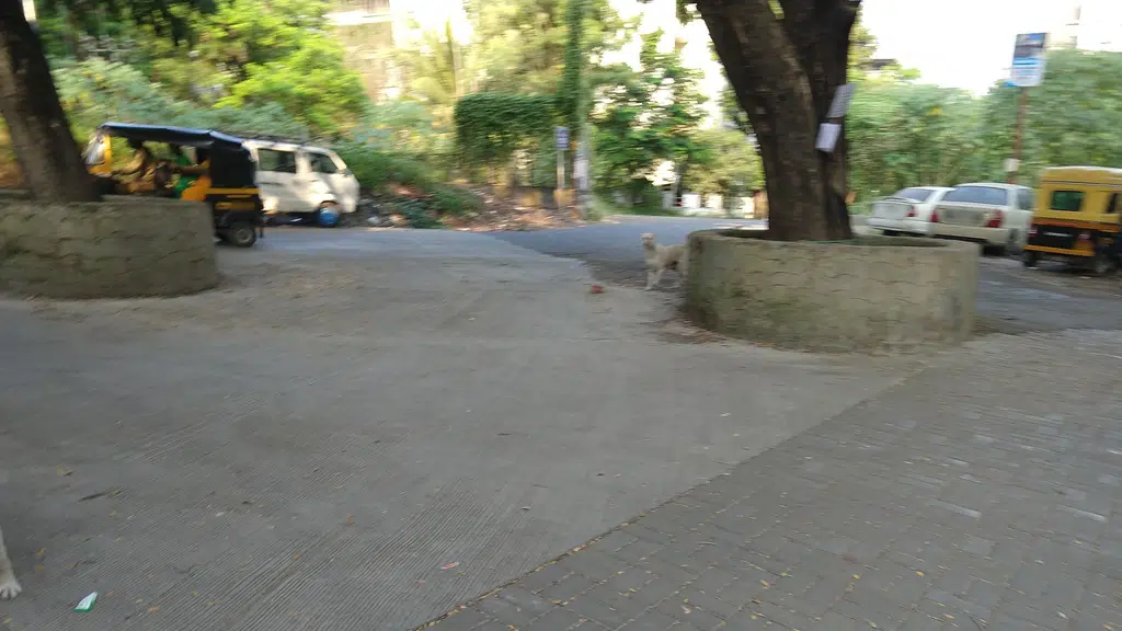 Seema Gardens