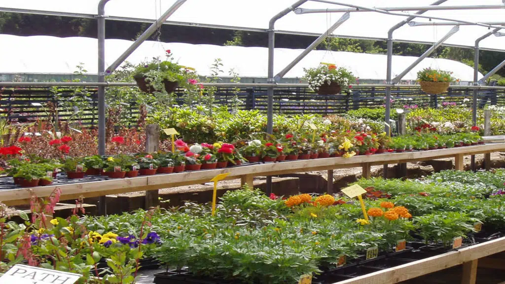 Shree Hare Krishna Nursery And Farm