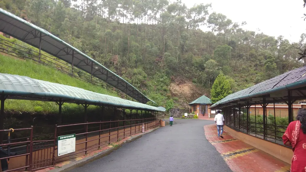 Eravikulam National Park