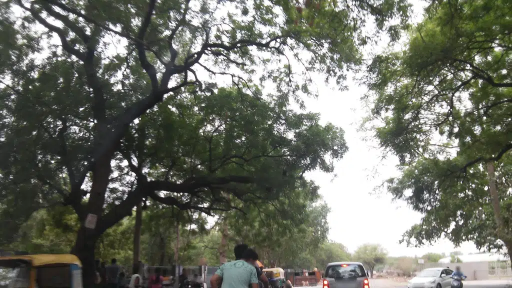 Gujarat University Library