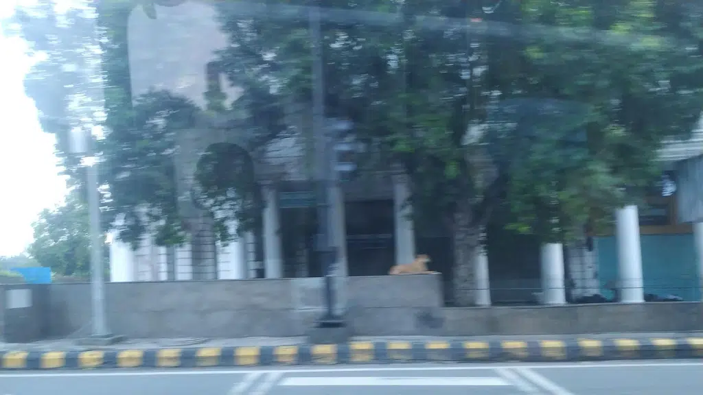 Yellow Door Worldwide