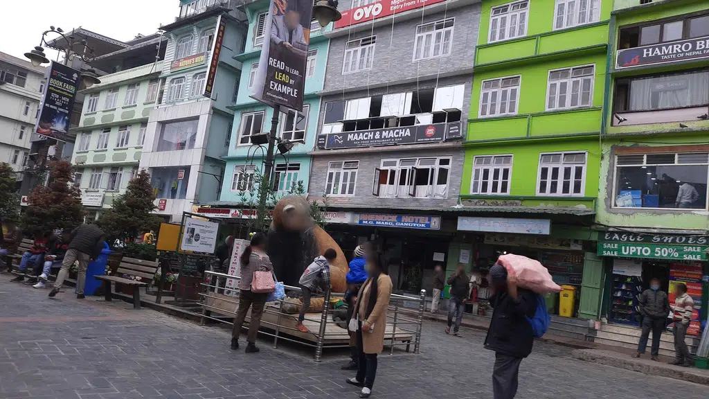 Sikkim ink Tattoo Studios