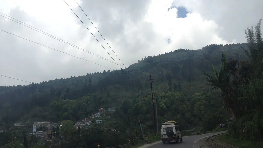 Maharani Hill Tea Garden