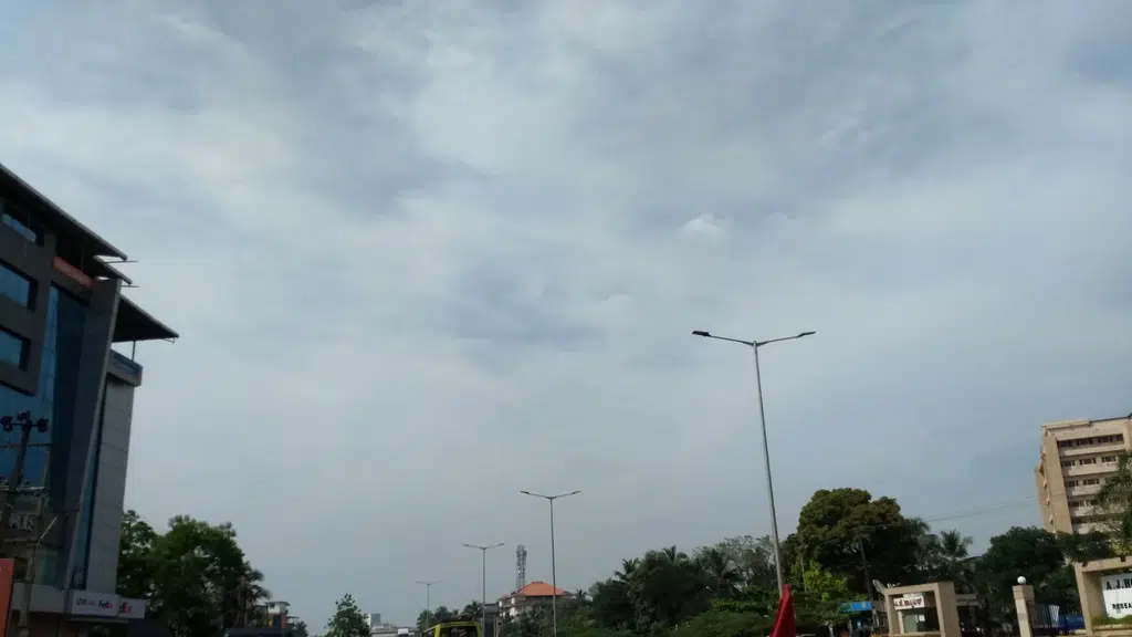 Hallimane Meenu oota