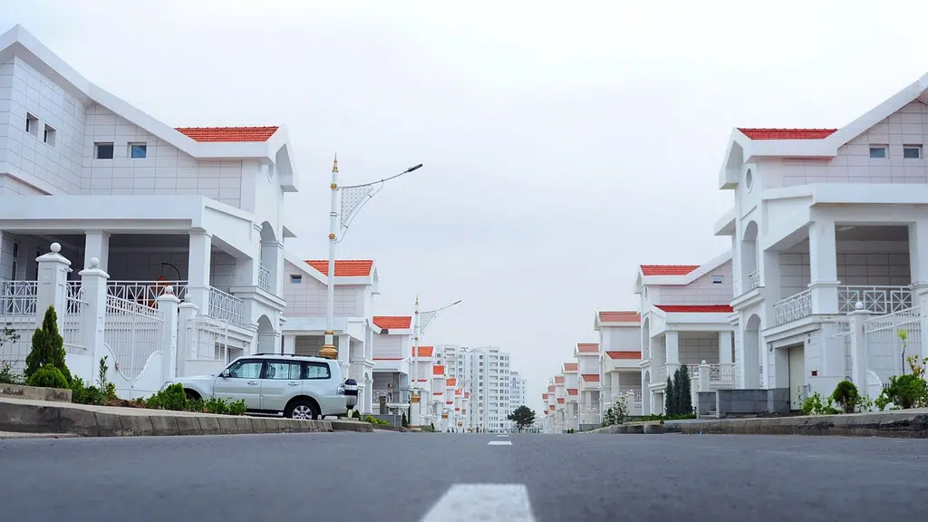 Shree Shyam Real Estate