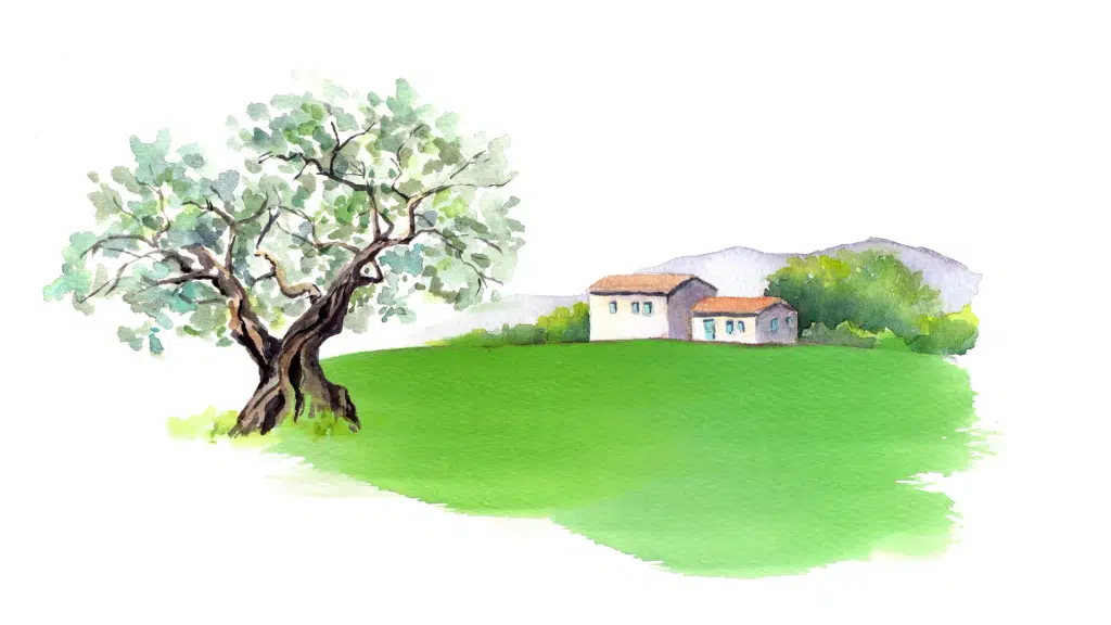 Bananki Homestay