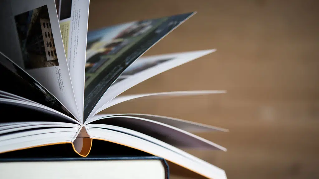 OSI Study and Immigration Consultants