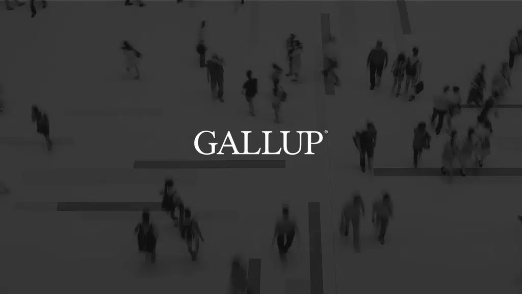 Gallup India Private Limited