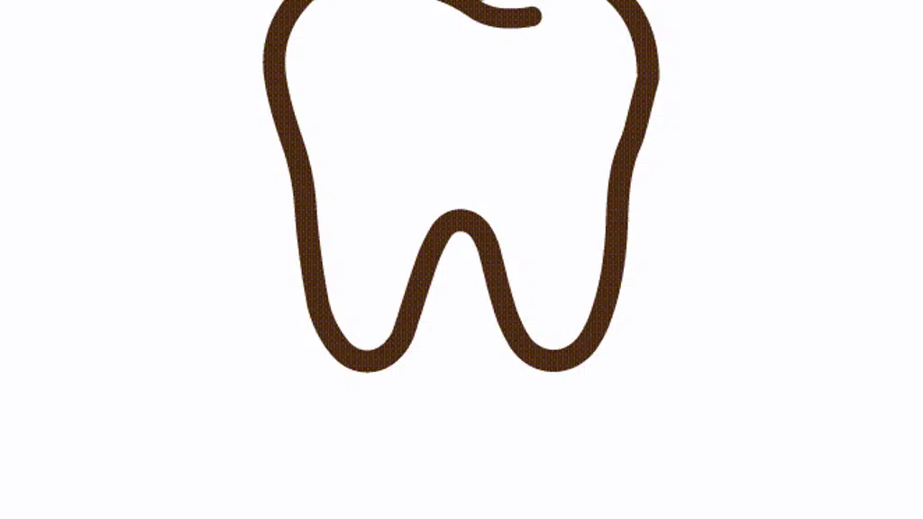 Dr. Rajashekar Orthodontic & Dental Care