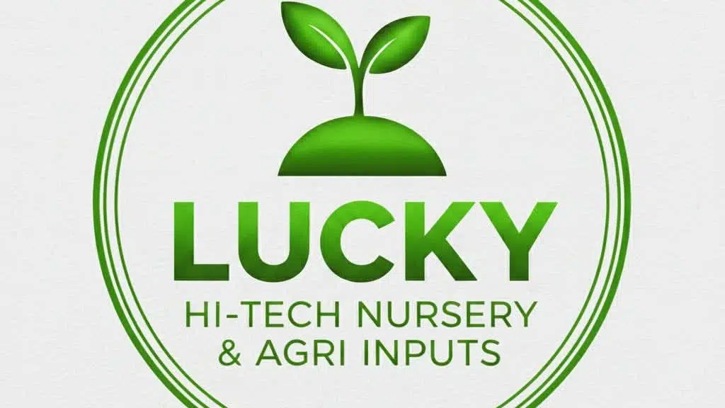 Lucky Hitech Nursery Basti
