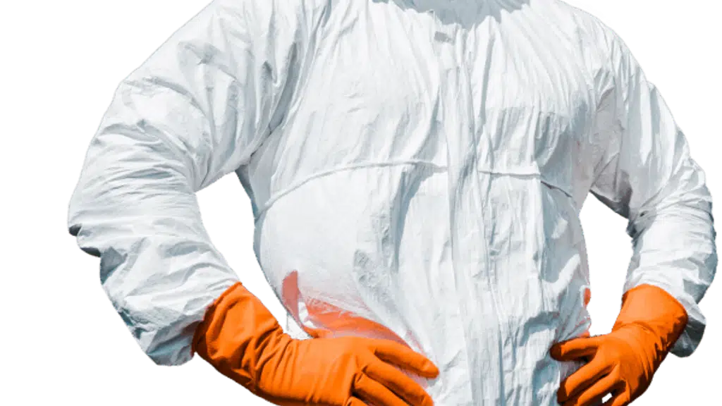 Green India Pest Control Pvt Ltd