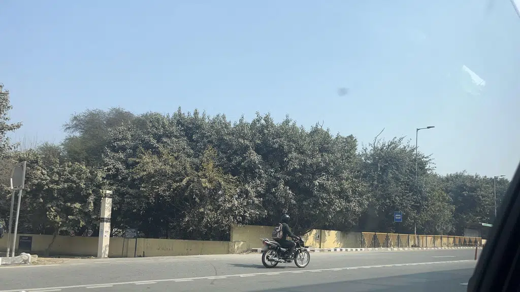 Pind Balluchi Sec-29 Vatika