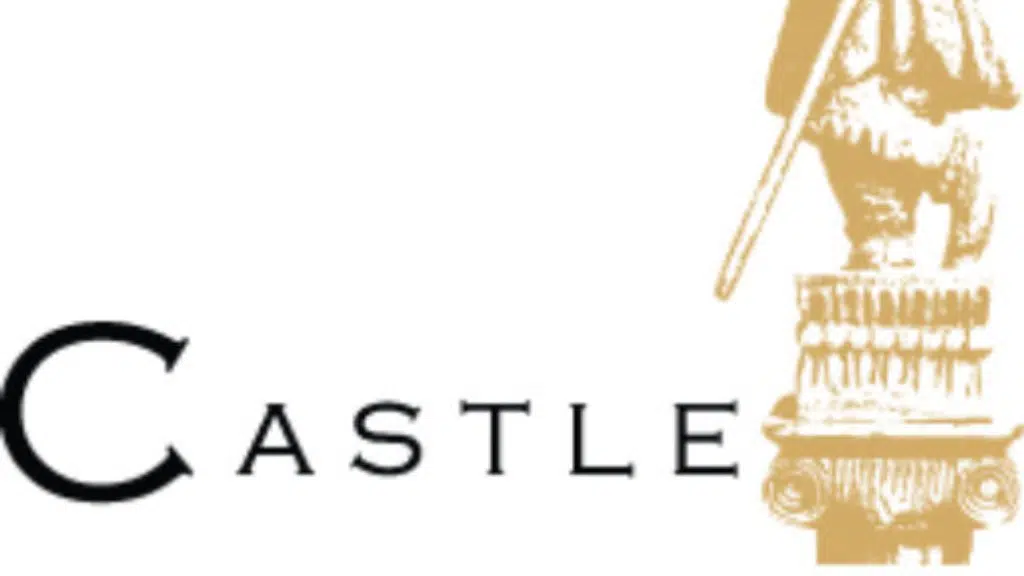 Castle The Hidden Treasure