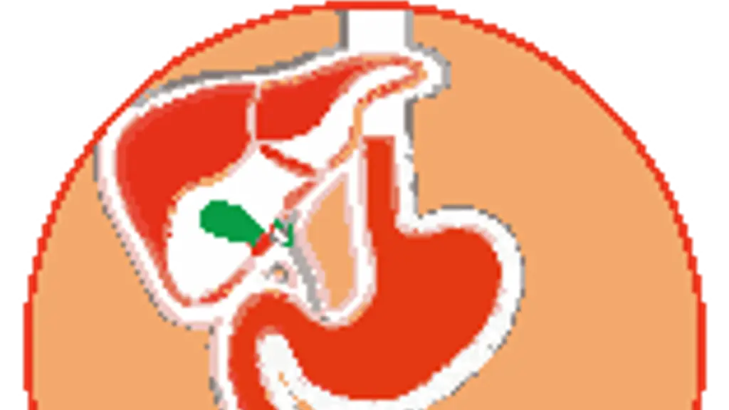 Vinoth Gastro Liver Clinic & Vinaya Scans